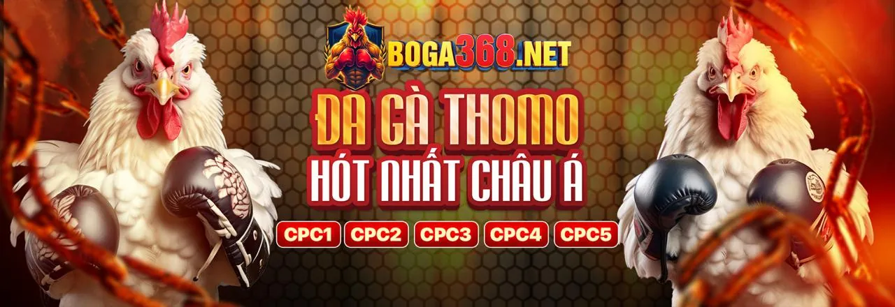 Chương trình VIP tj77 win